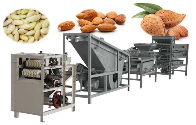 Automatic Almond Shelling Production Line For Sale|Almond Shell Cracking Machine