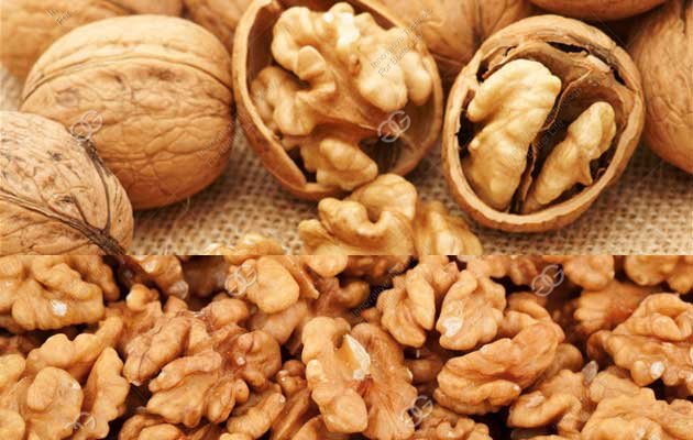 walnut kernel